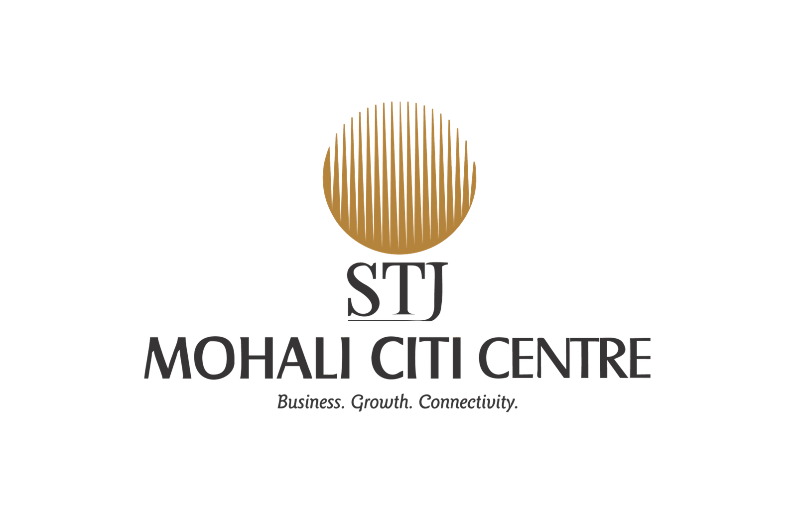 stj Mohali citi center