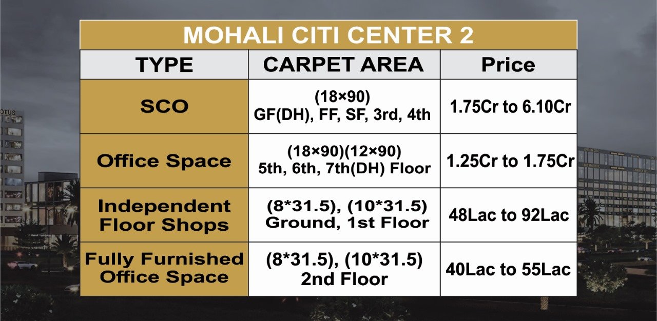 Mohali citi center 2