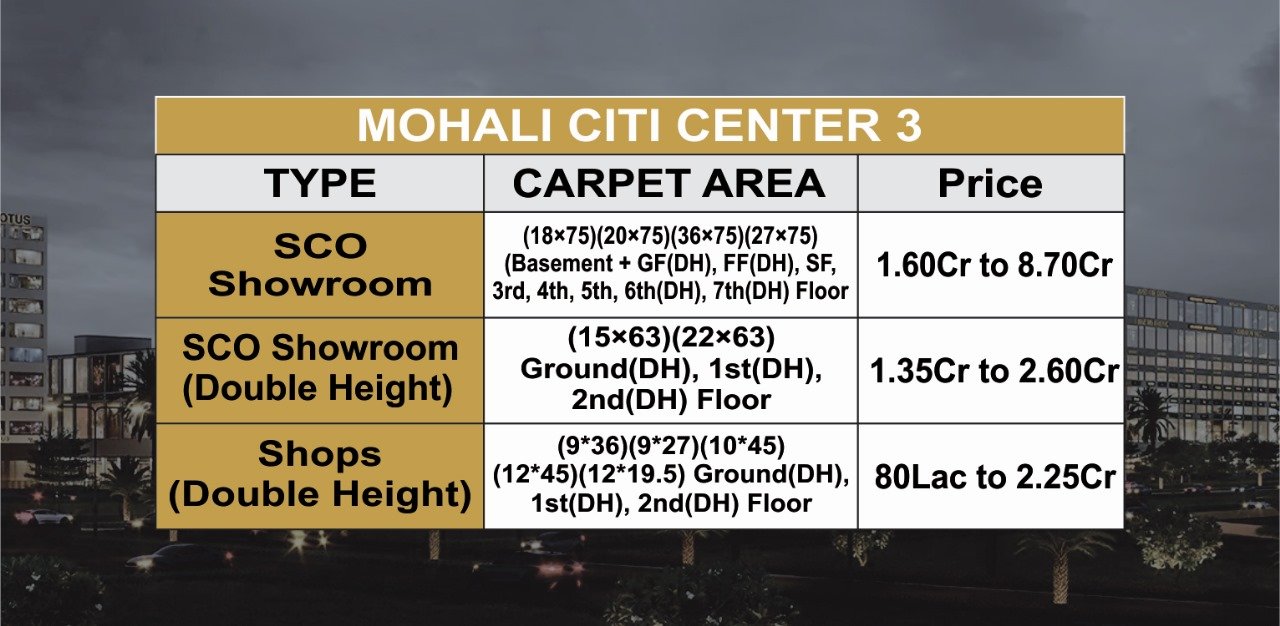 Mohali citi center 3