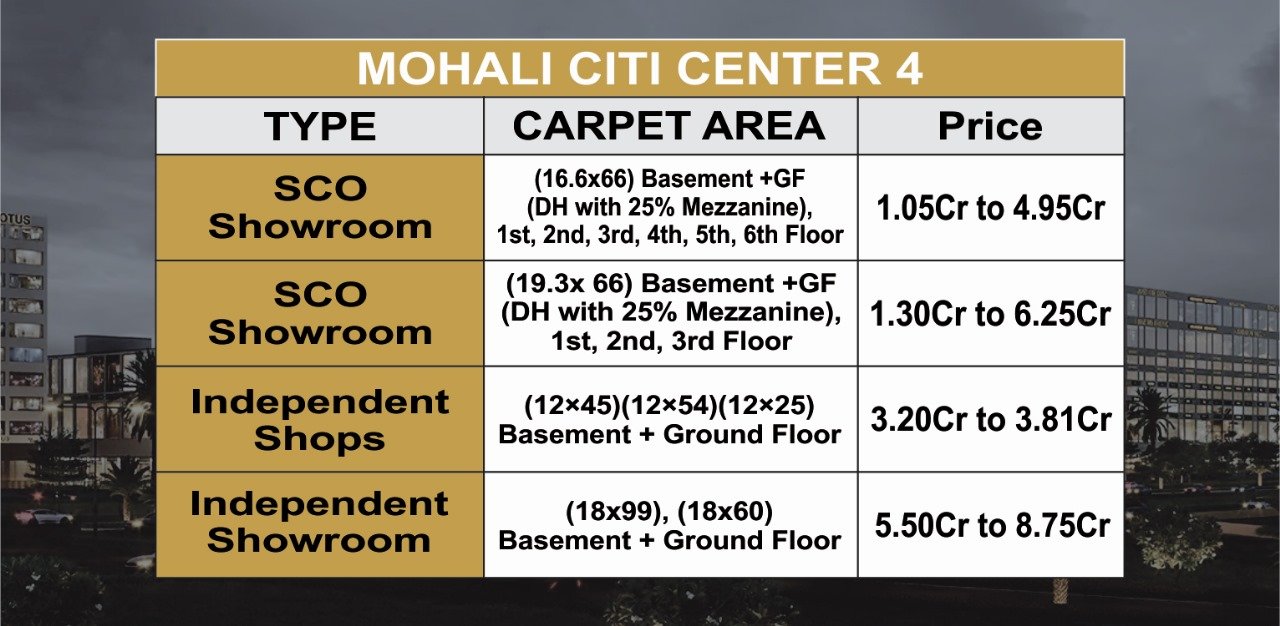 Mohali citi center 4