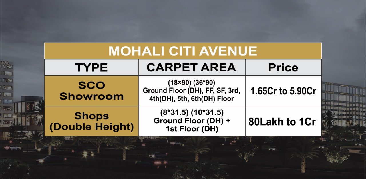 Mohali citi center 4